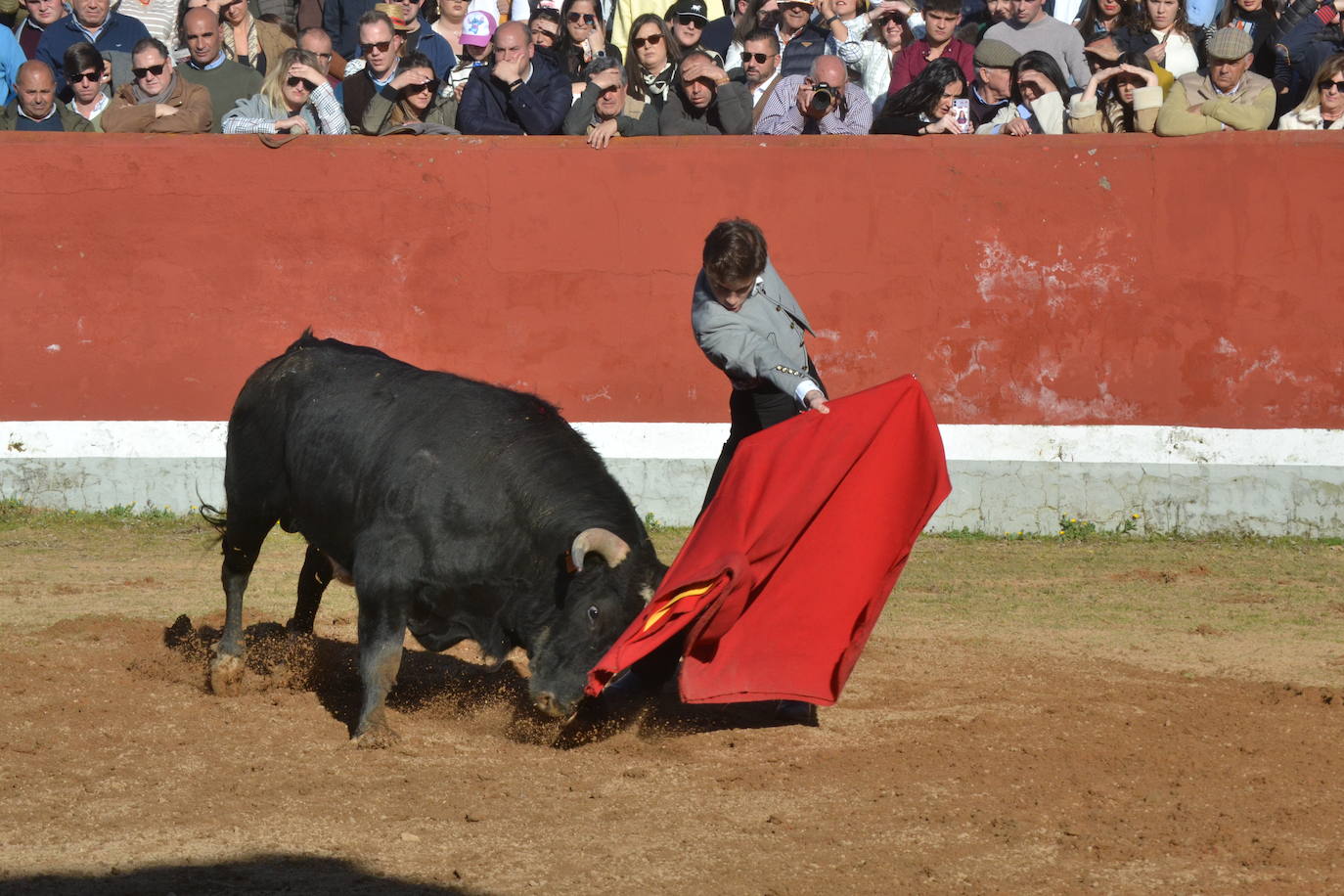 Brillante cierre final del Bolsín Taurino Mirobrigense