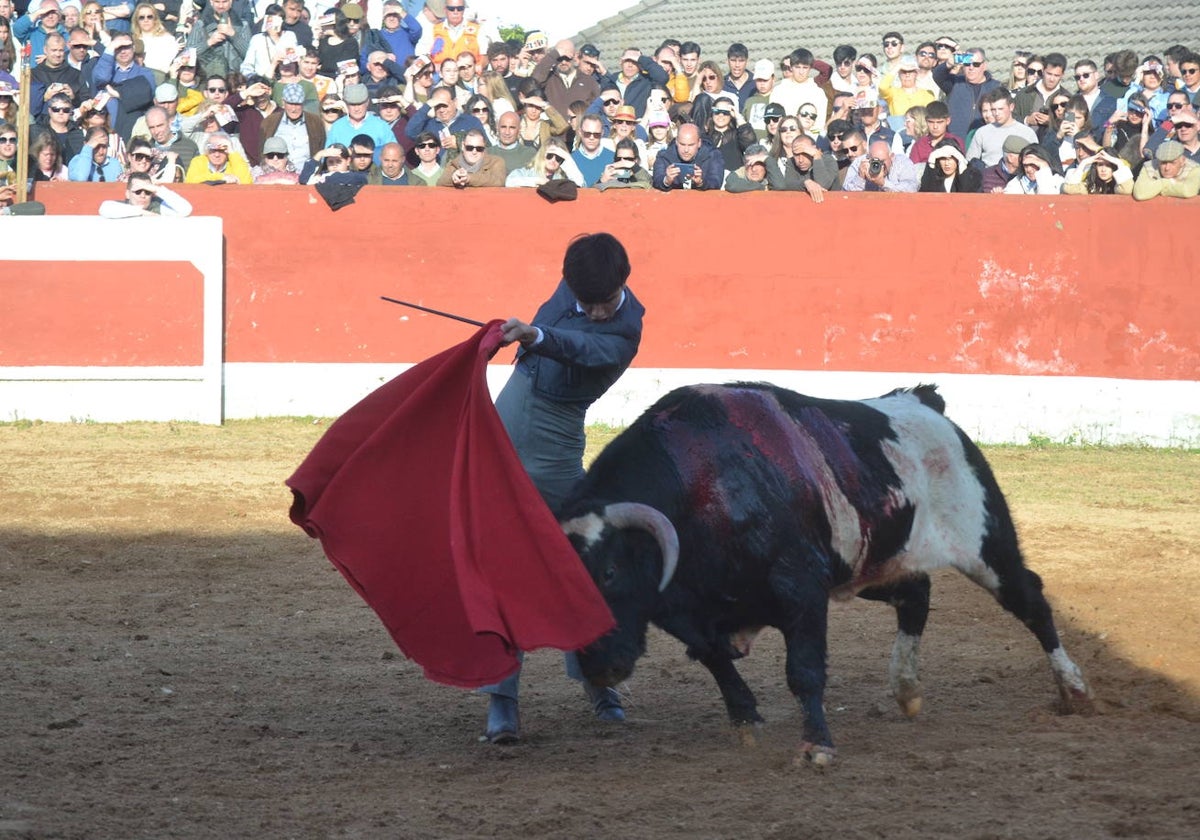 Brillante cierre final del Bolsín Taurino Mirobrigense