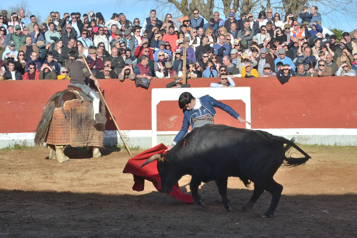 Brillante cierre final del Bolsín Taurino Mirobrigense