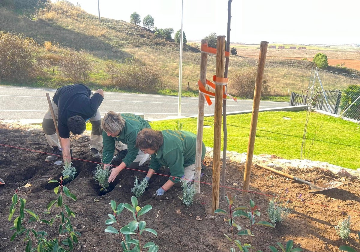 El entorno ajardinado de la Fuente de Valdehigal, una de las últimas zonas verdes del municipio.