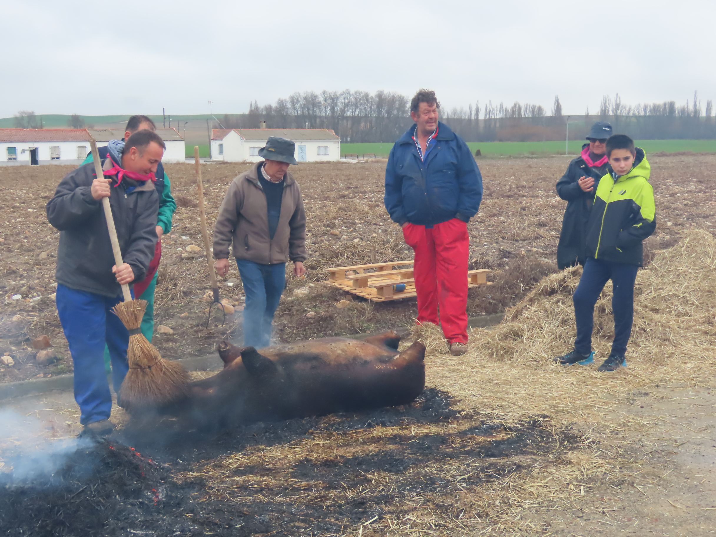 Destacada participación en la II matanza tradicional de Bóveda del Río Almar