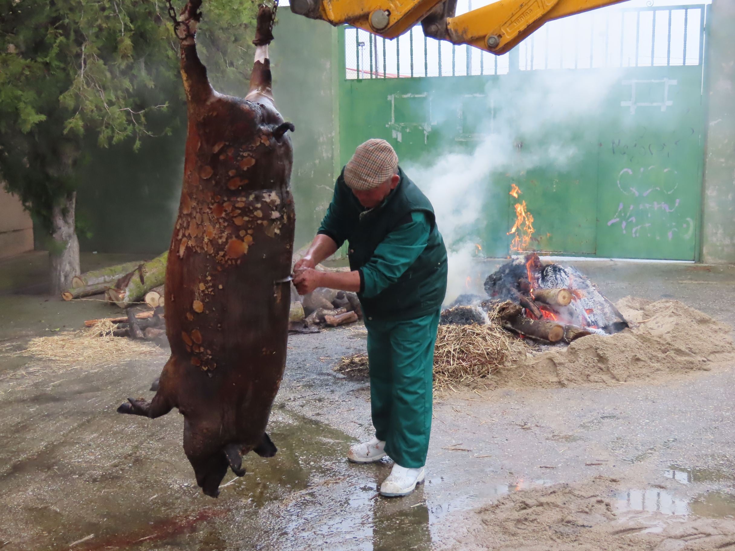 Toda una historia por contar en la fiesta de la matanza de Macotera