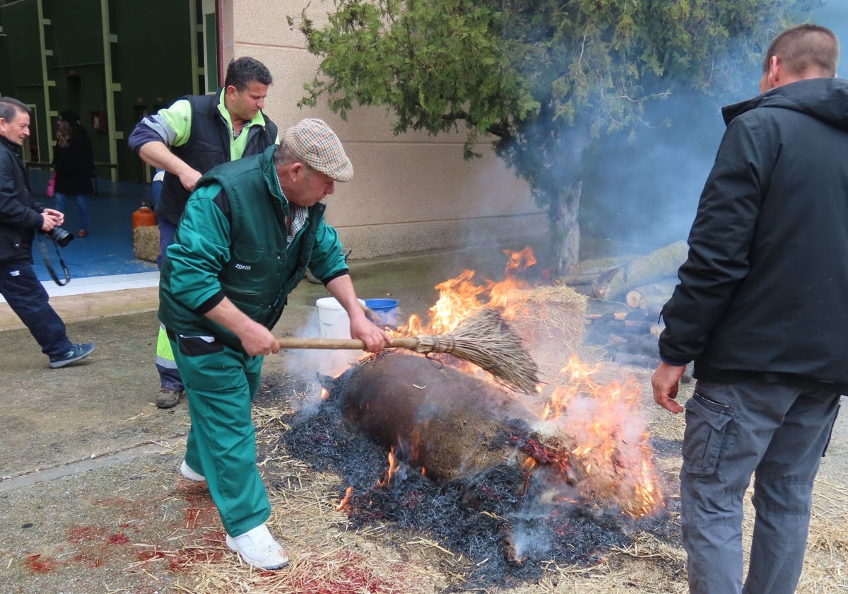 Toda una historia por contar en la fiesta de la matanza de Macotera