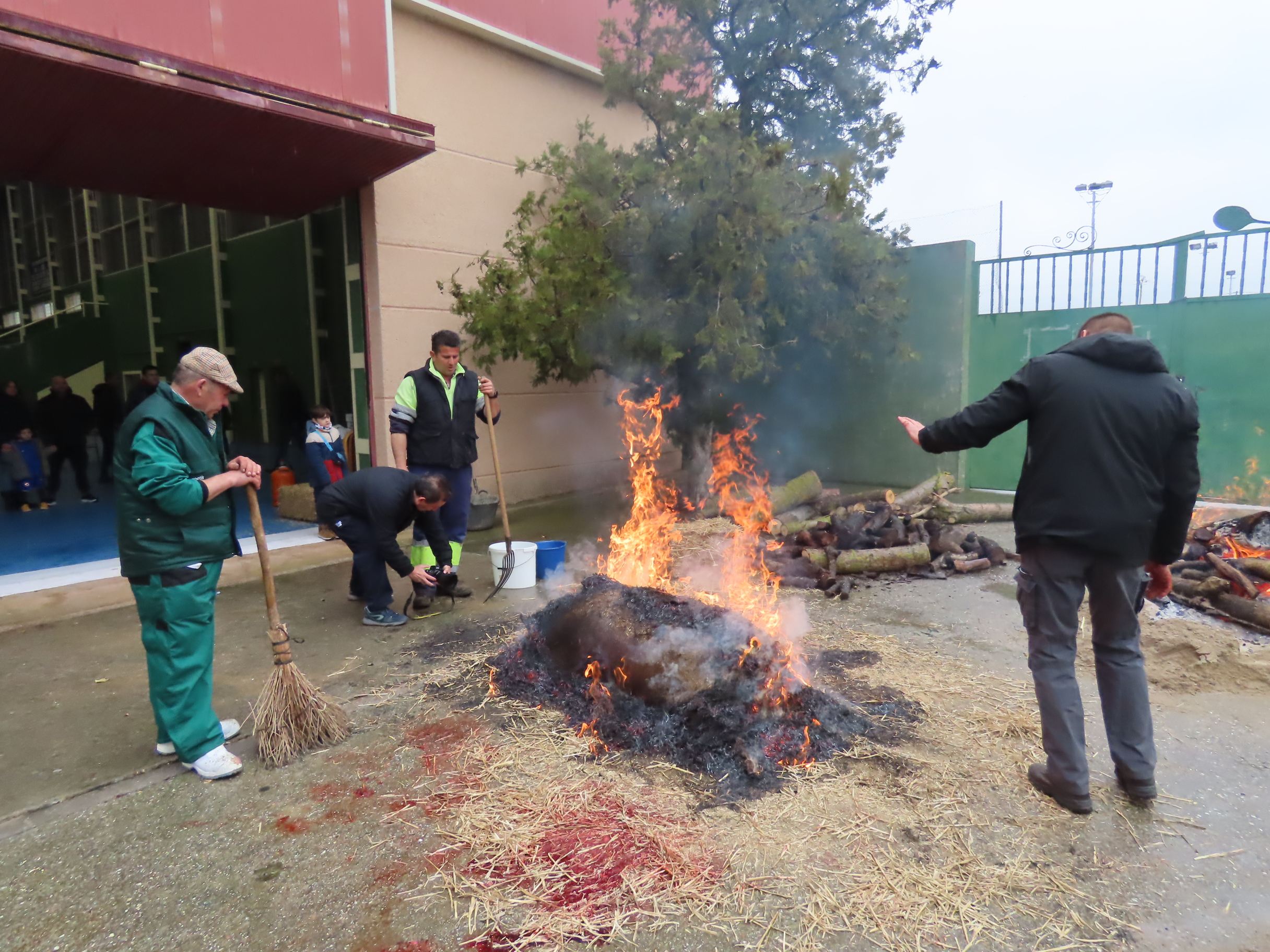 Toda una historia por contar en la fiesta de la matanza de Macotera