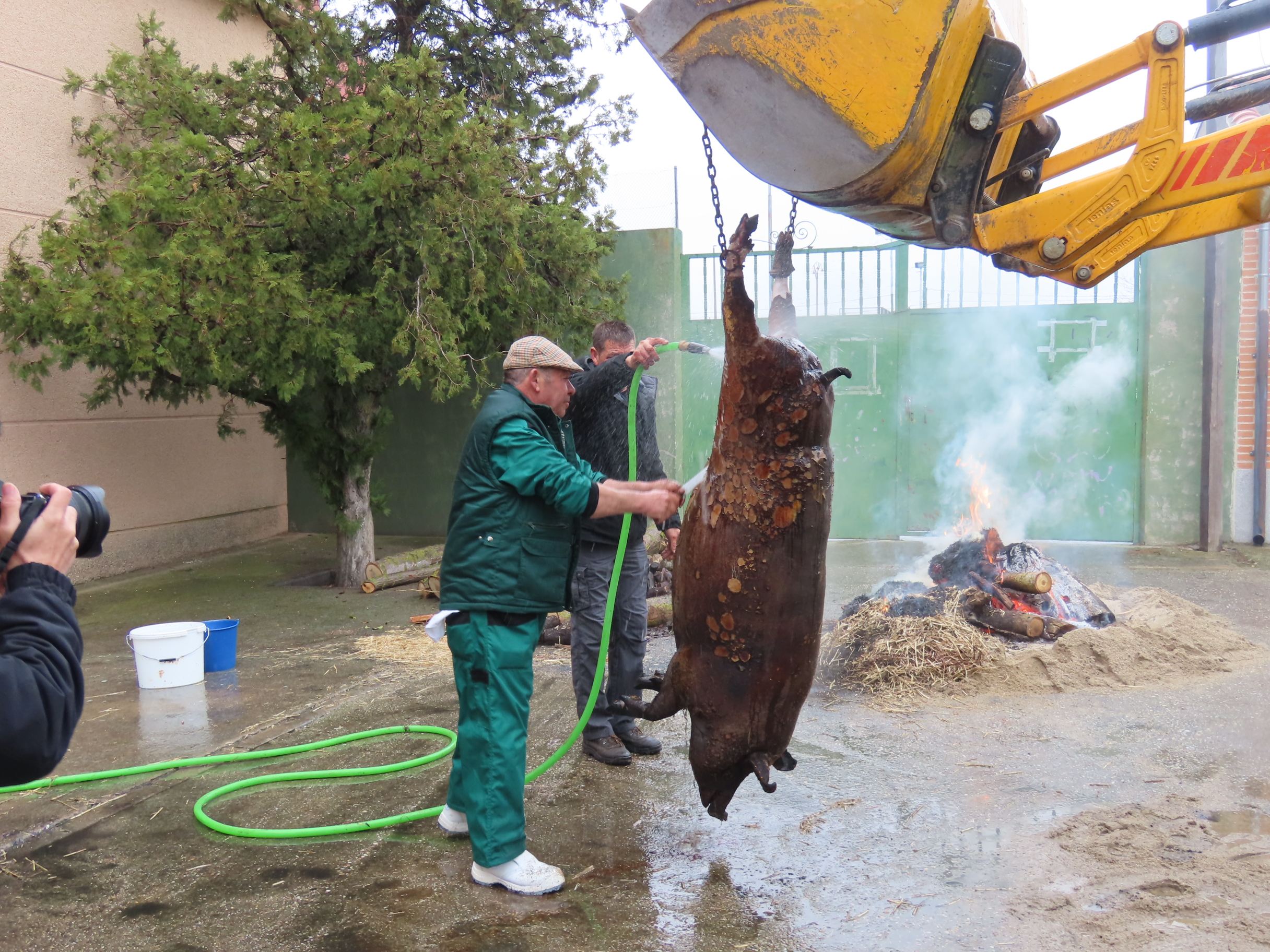 Toda una historia por contar en la fiesta de la matanza de Macotera