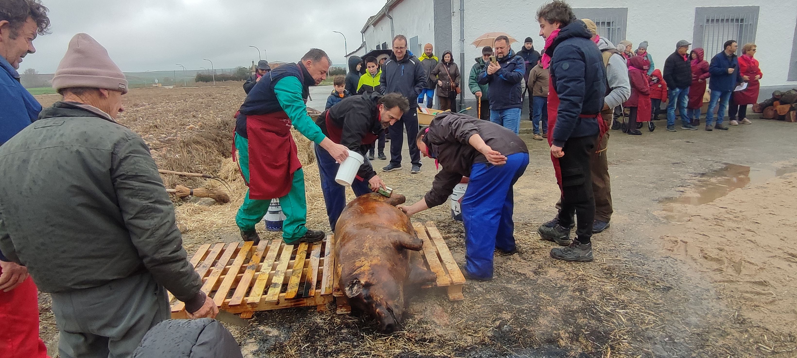 Destacada participación en la II matanza tradicional de Bóveda del Río Almar