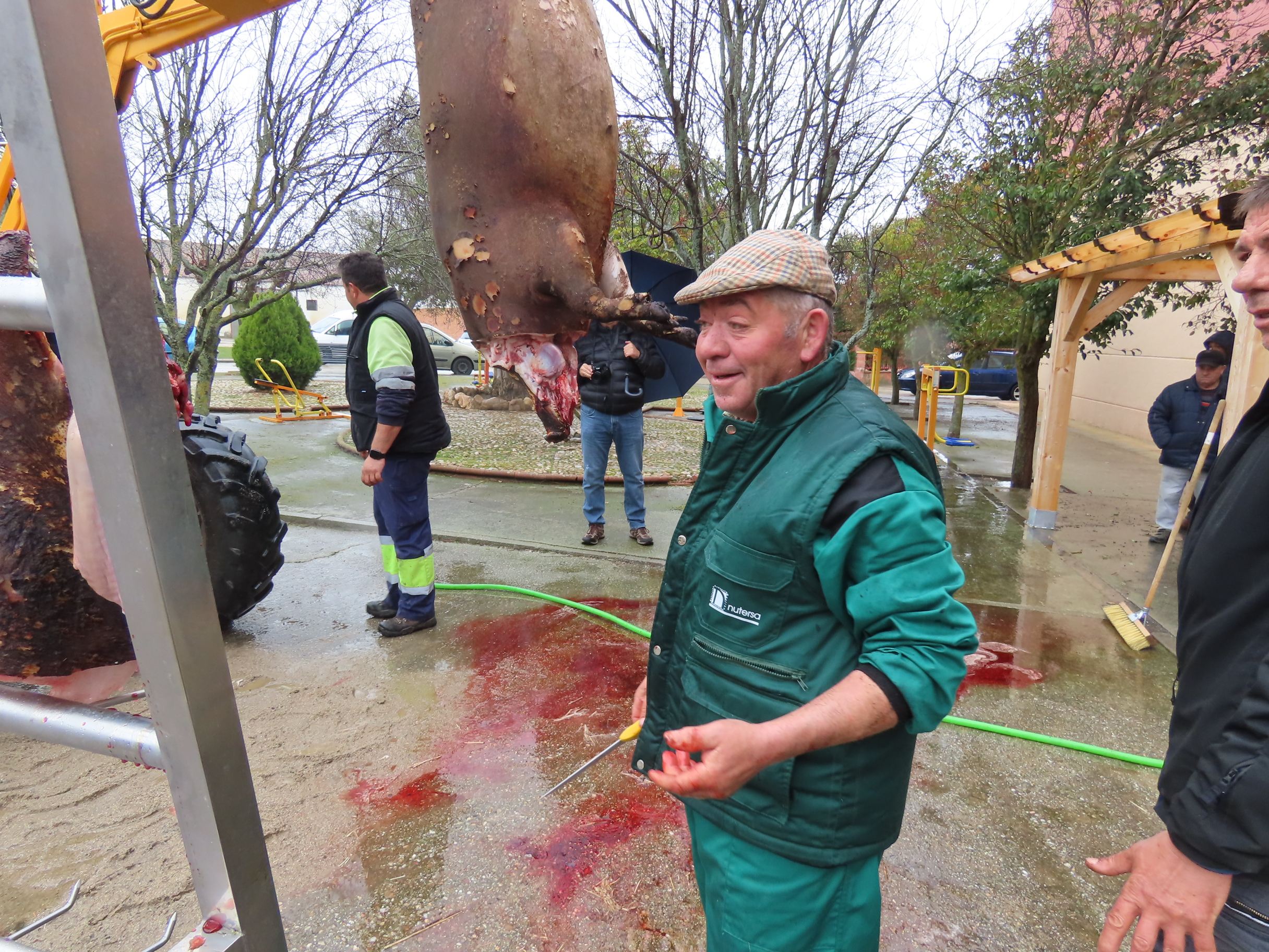 Toda una historia por contar en la fiesta de la matanza de Macotera