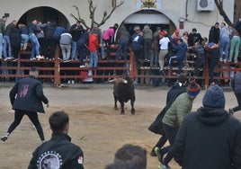 Un mozo citando al toro