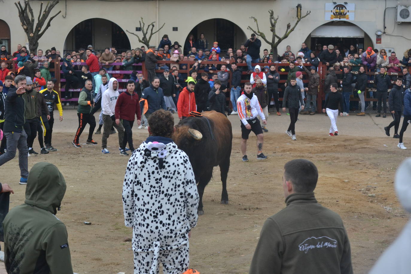 “Potrosillo” abre el Carnaval del Toro con un multitudinario festejo