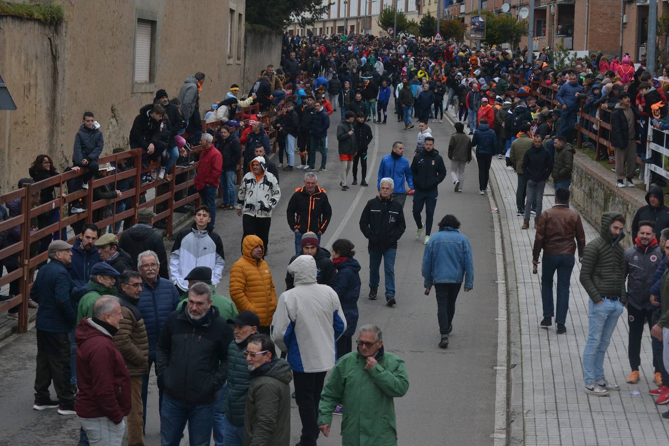 El primer encierro del Carnaval del Toro se salda con un corredor herido