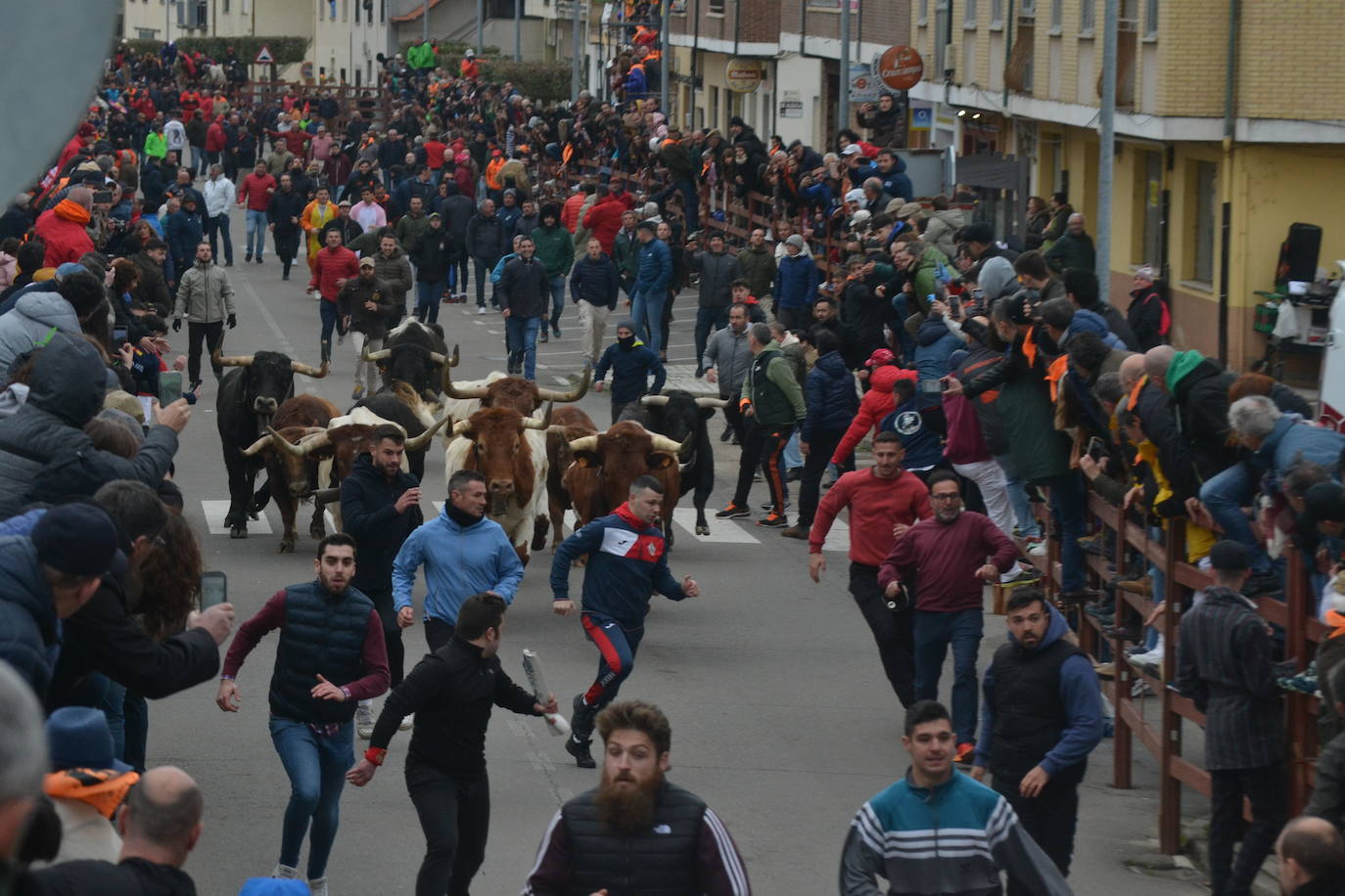 El primer encierro del Carnaval del Toro se salda con un corredor herido