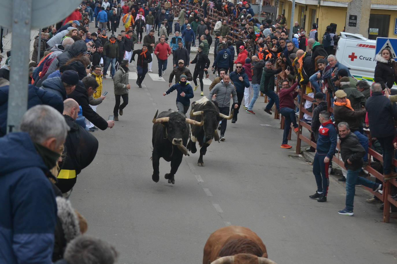 El primer encierro del Carnaval del Toro se salda con un corredor herido