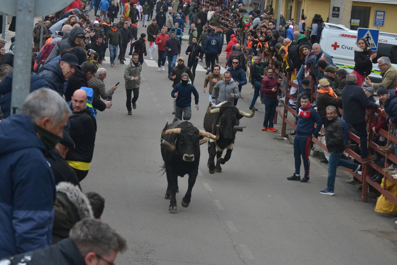 El primer encierro del Carnaval del Toro se salda con un corredor herido