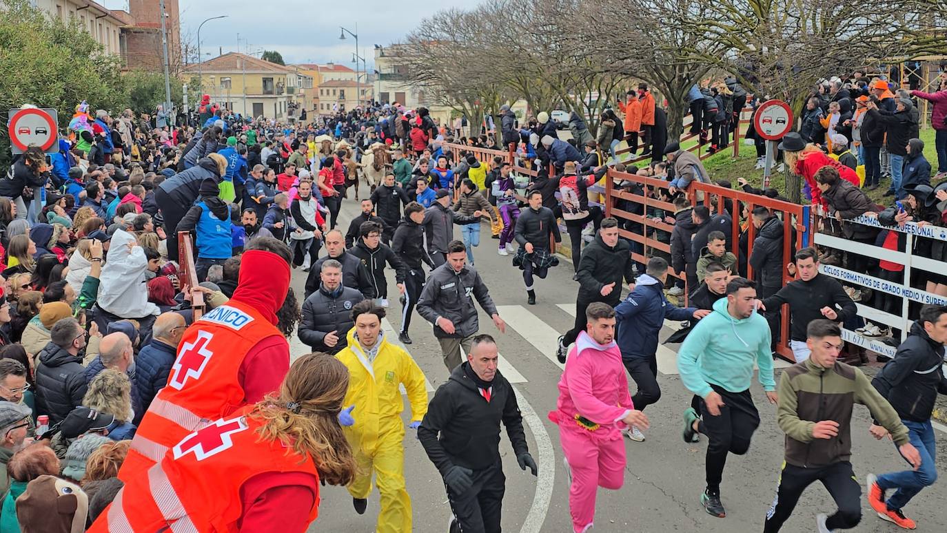 El primer encierro del Carnaval del Toro se salda con un corredor herido