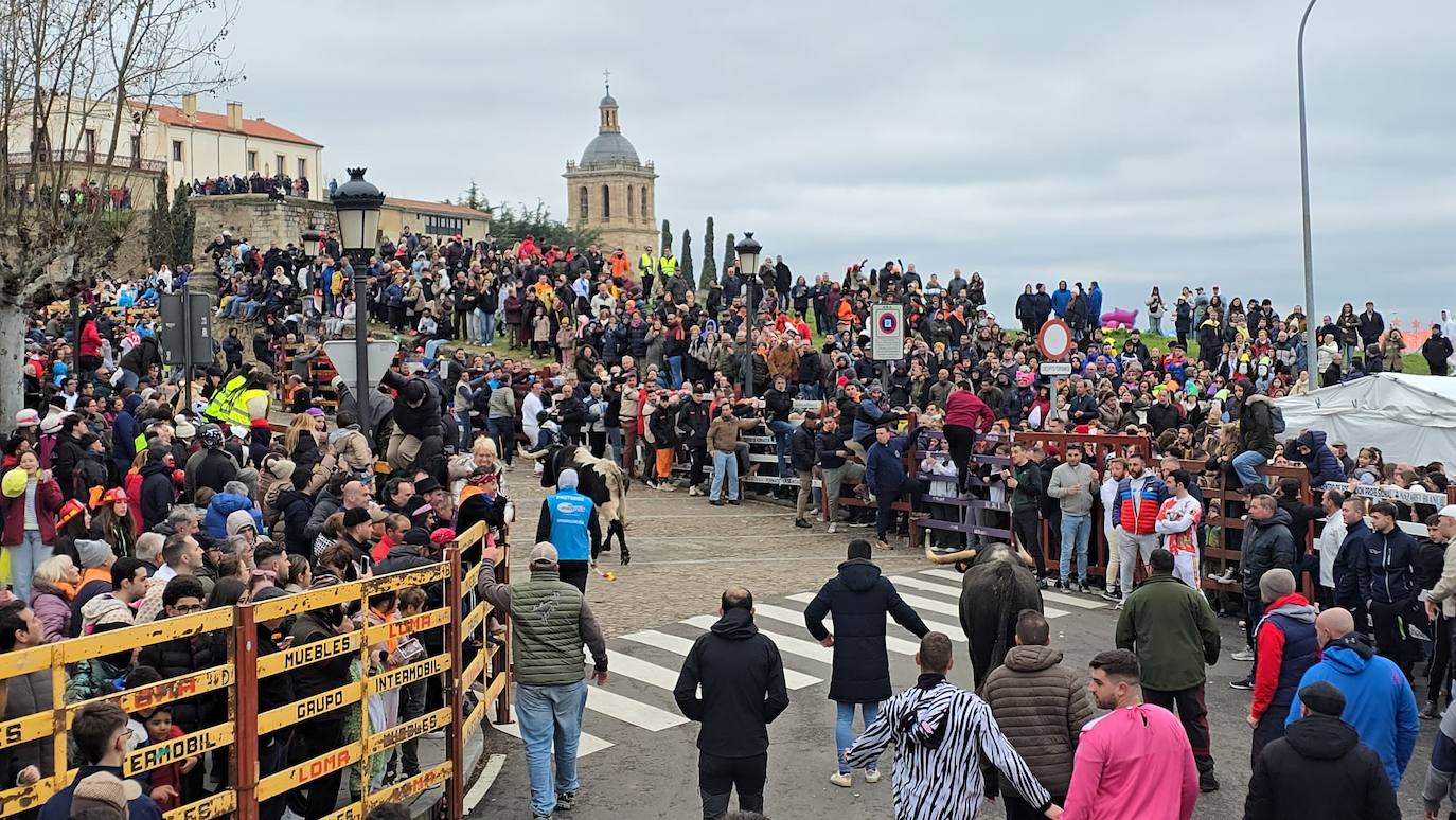 El primer encierro del Carnaval del Toro se salda con un corredor herido