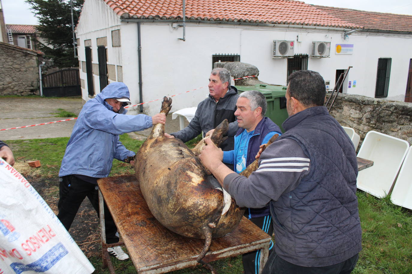 Horcajo de Montemayor se vuelca con su matanza popular