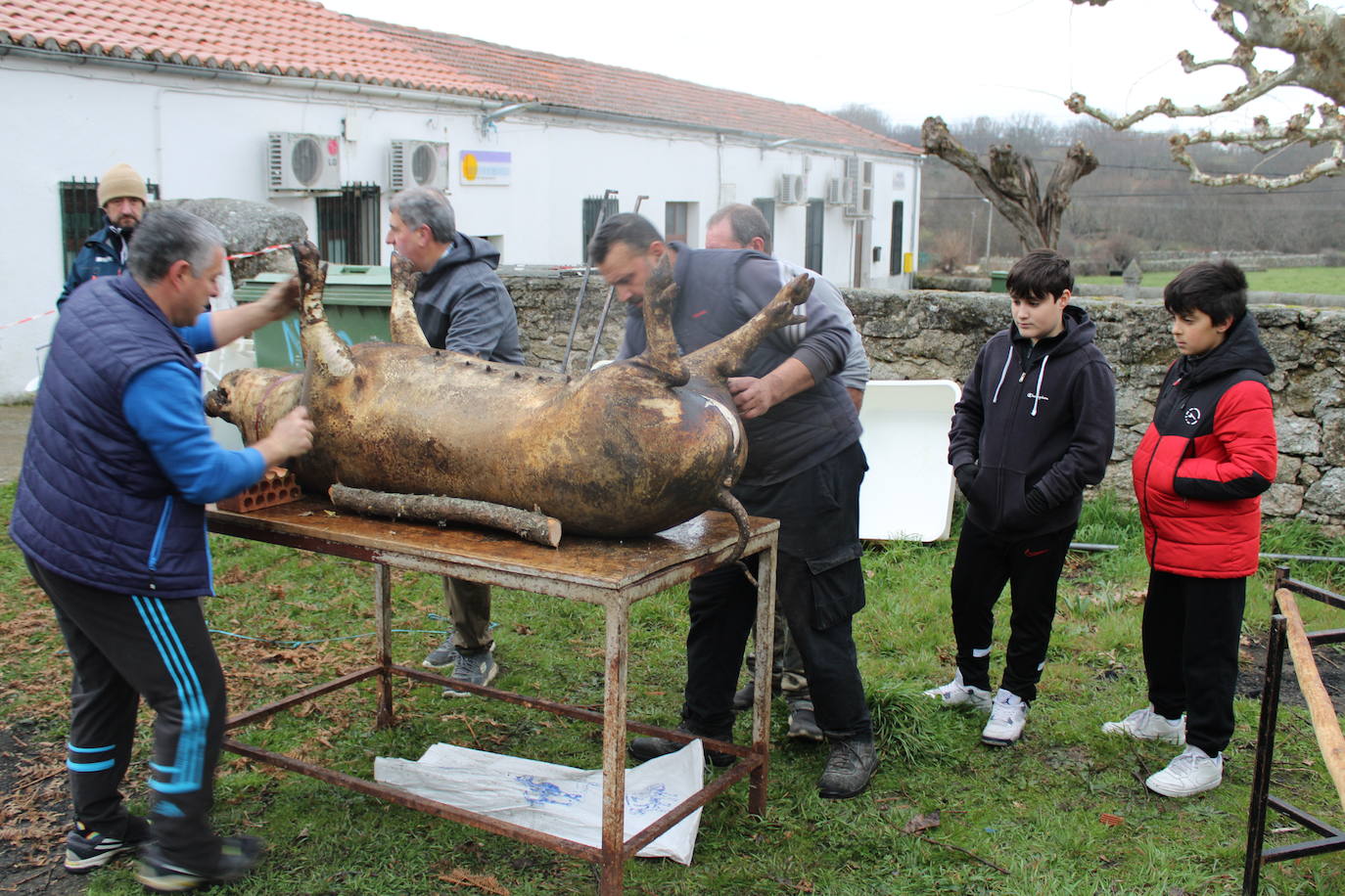 Horcajo de Montemayor se vuelca con su matanza popular