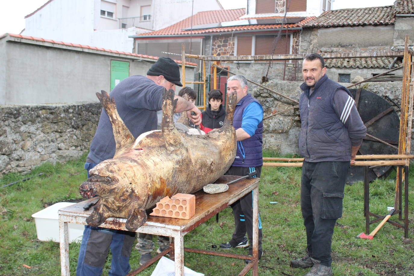 Horcajo de Montemayor se vuelca con su matanza popular