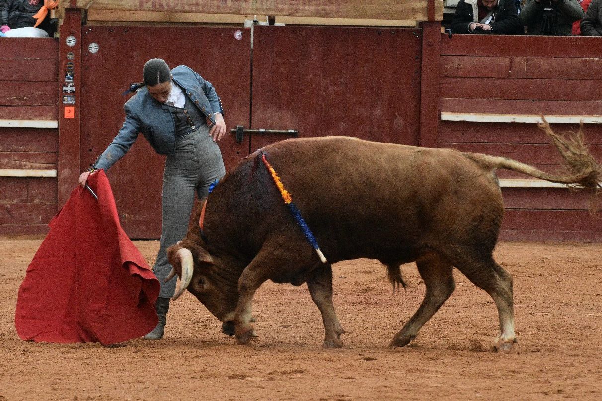 El primer festival taurino del Carnaval, en imágenes