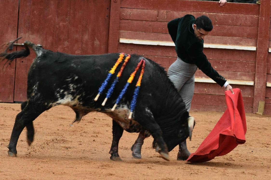 El primer festival taurino del Carnaval, en imágenes