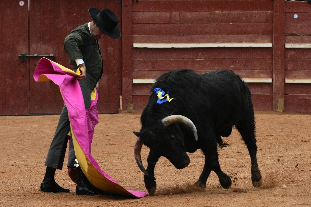 El primer festival taurino del Carnaval, en imágenes