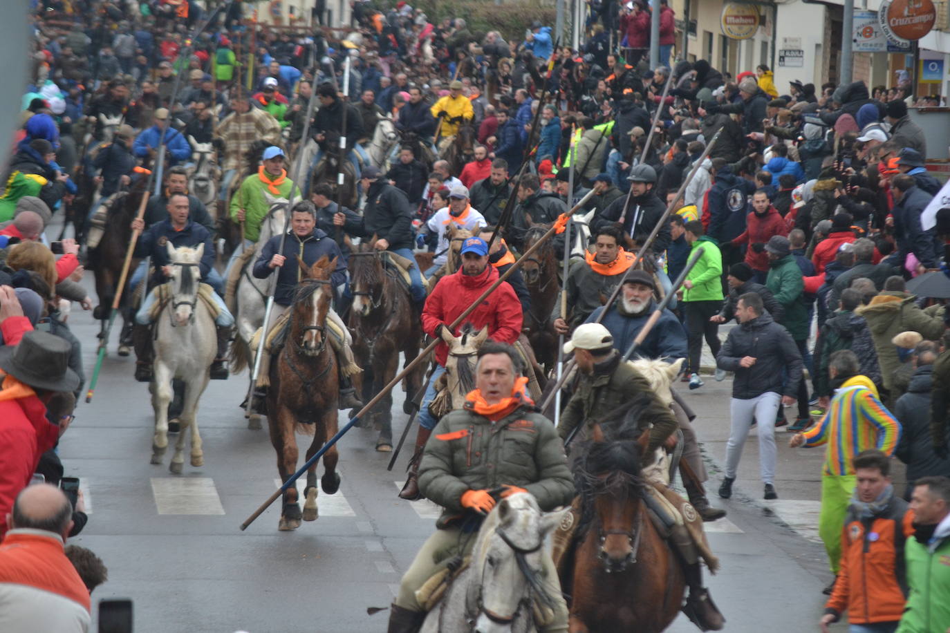 Tumultuoso encierro a caballo en el Carnaval del Toro de Ciudad Rodrigo