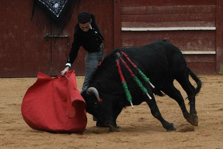 La tarde de los triunfadores el Bolsín, en imágenes