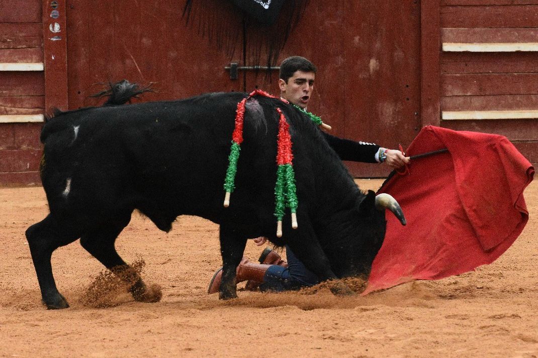 La tarde de los triunfadores el Bolsín, en imágenes