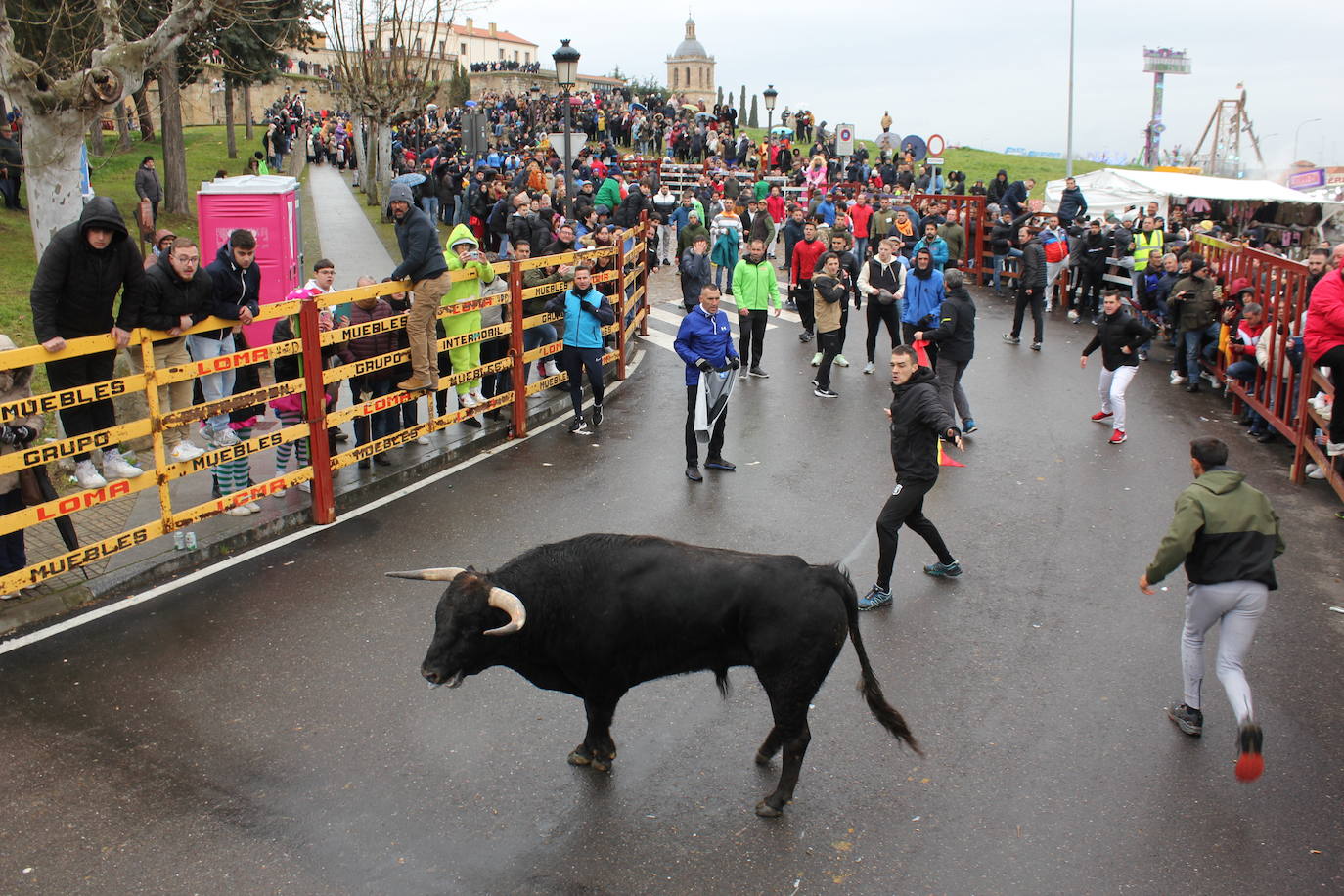 Tumultuoso encierro a caballo en el Carnaval del Toro de Ciudad Rodrigo