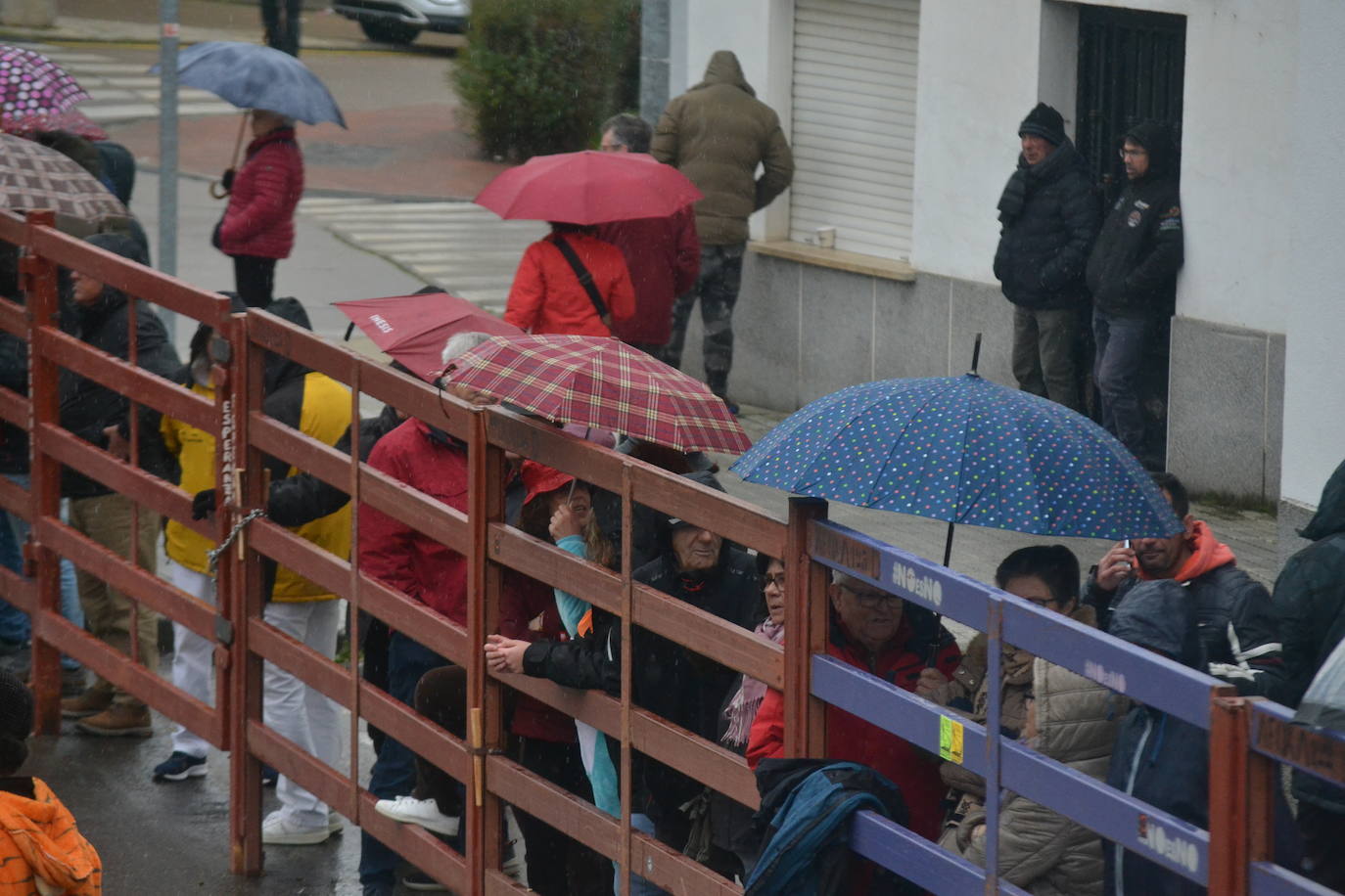 La lluvia no desluce el rápido encierro del lunes en el Carnaval del Toro