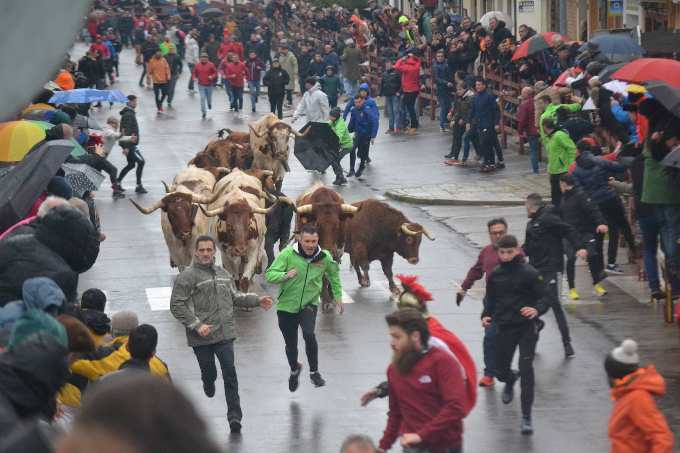 La lluvia no desluce el rápido encierro del lunes en el Carnaval del Toro
