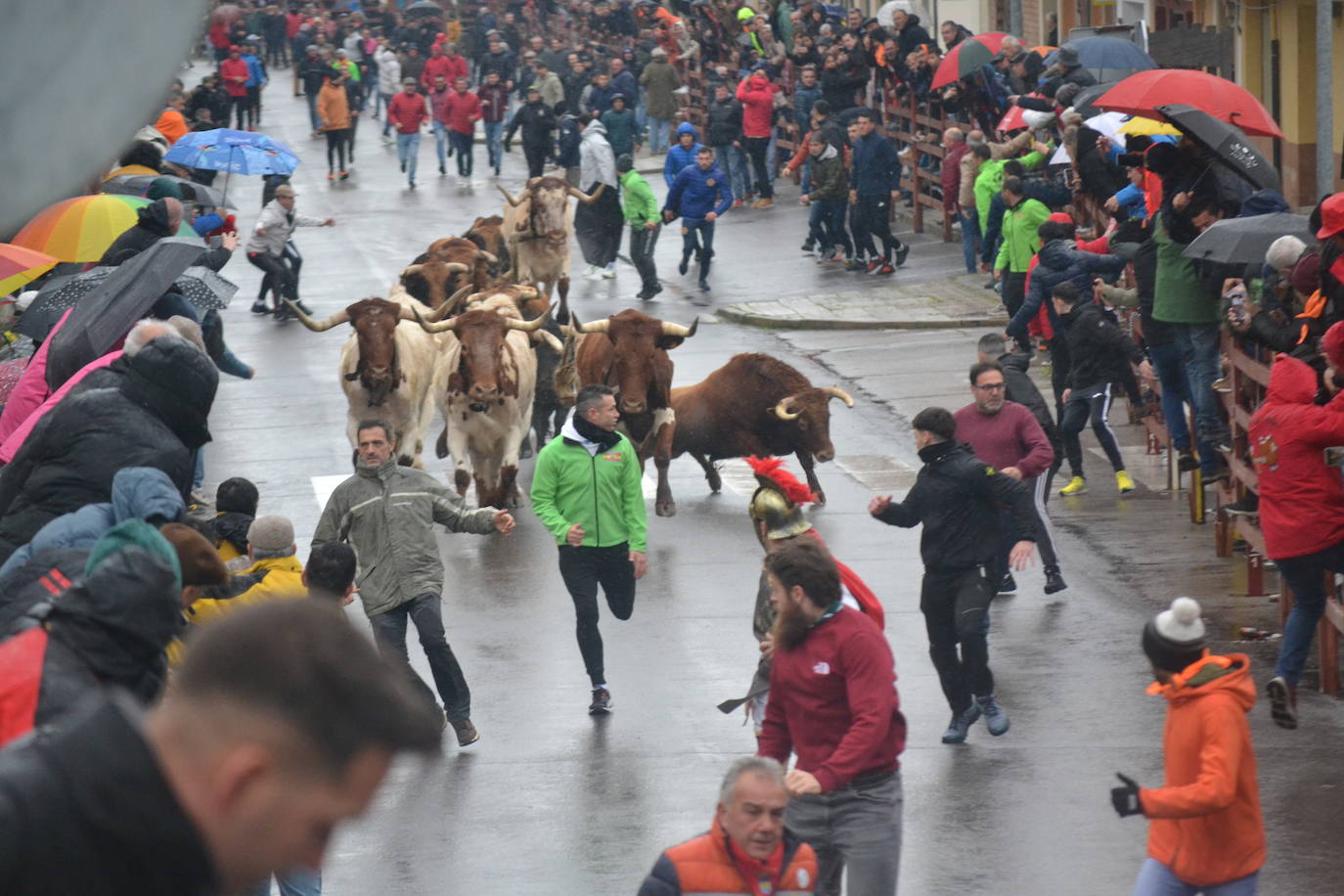 La lluvia no desluce el rápido encierro del lunes en el Carnaval del Toro