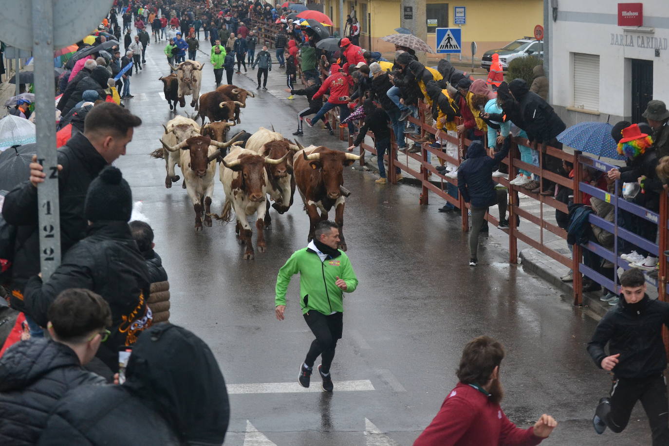 La lluvia no desluce el rápido encierro del lunes en el Carnaval del Toro