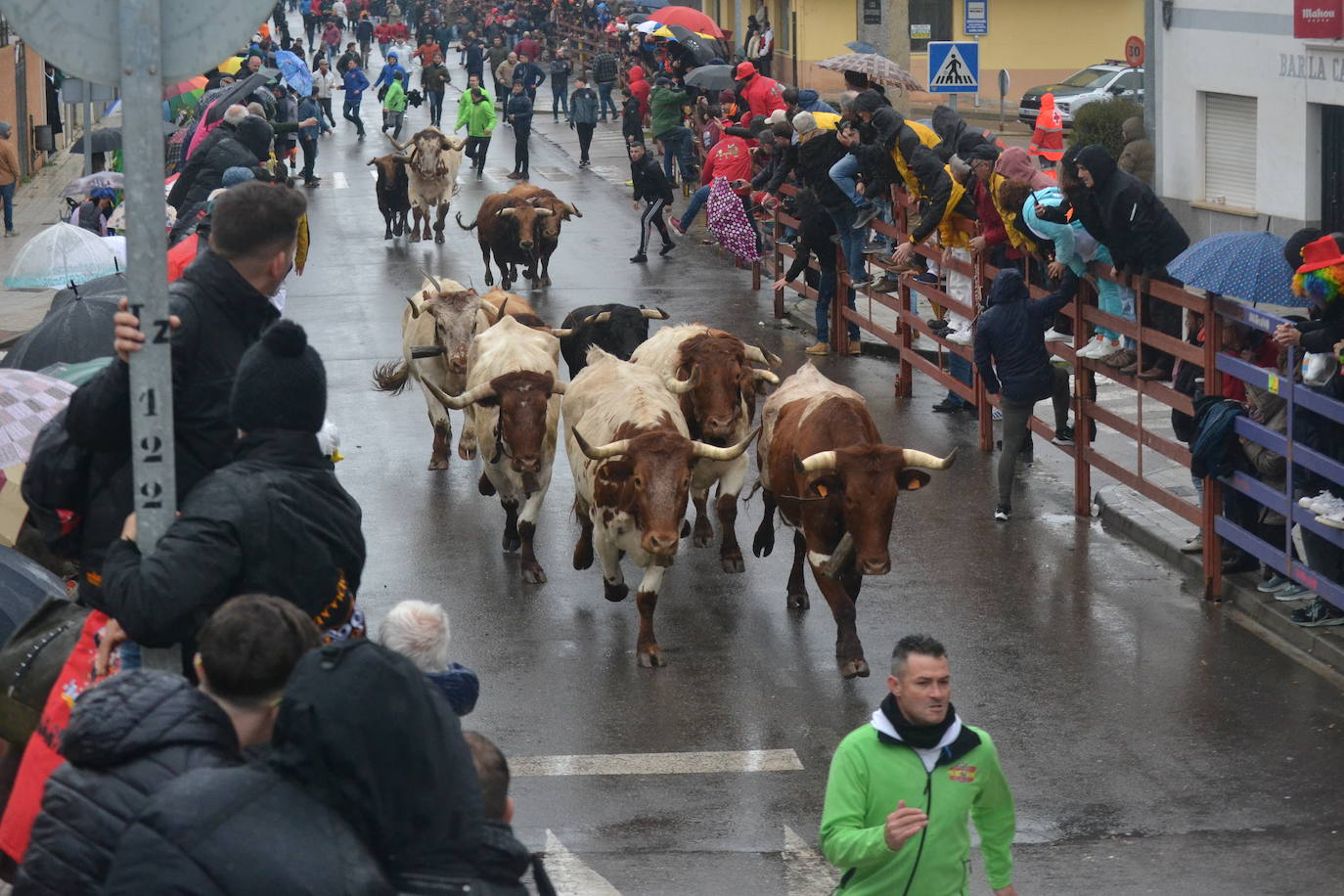 La lluvia no desluce el rápido encierro del lunes en el Carnaval del Toro