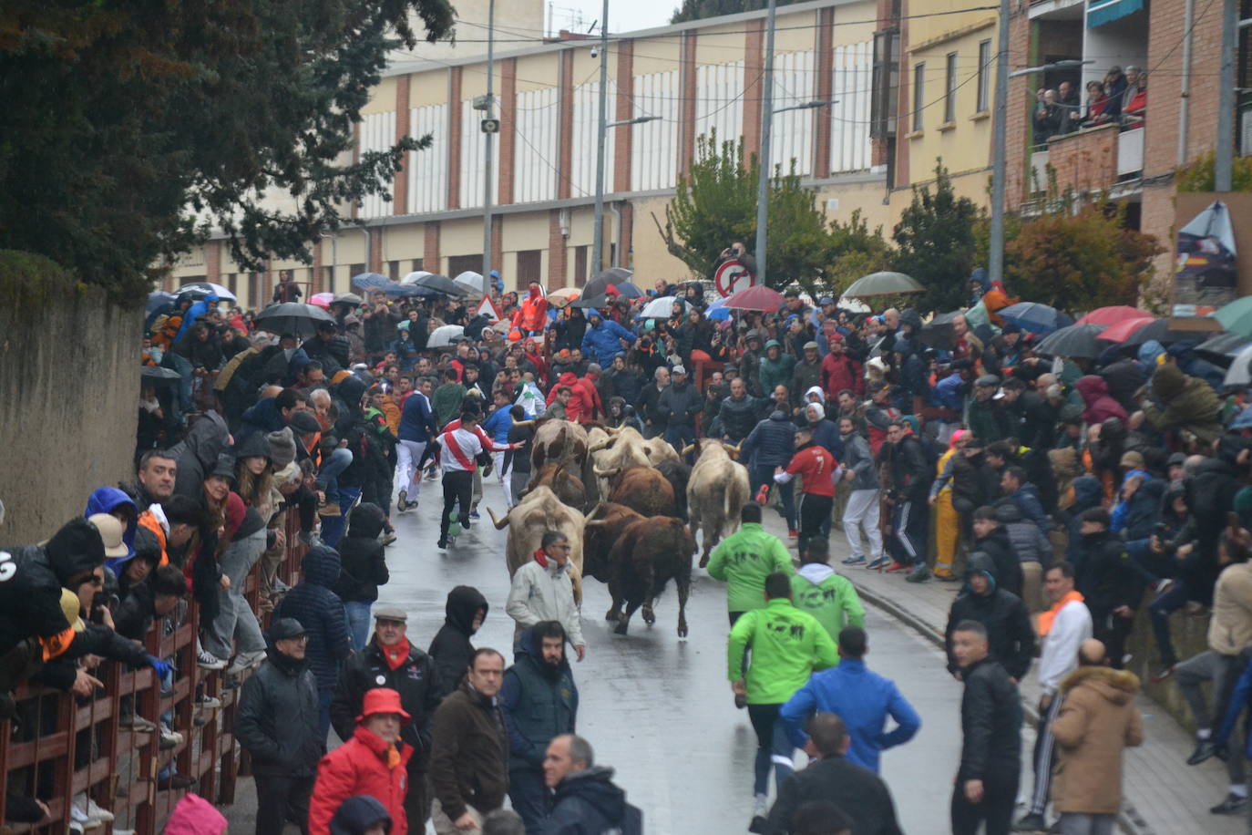 La lluvia no desluce el rápido encierro del lunes en el Carnaval del Toro