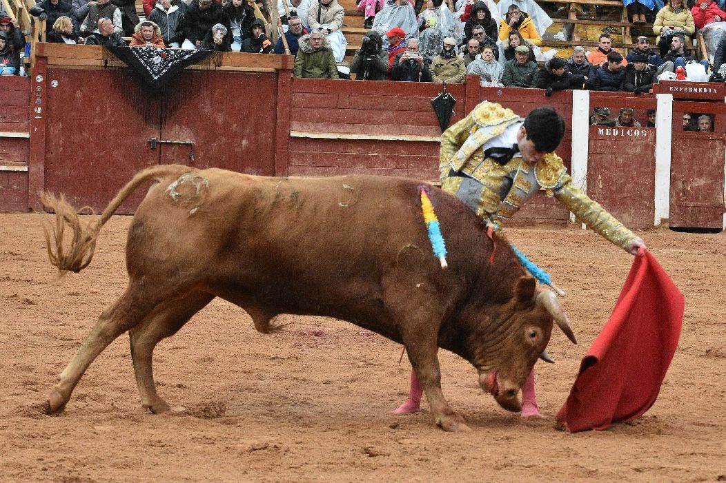 La novillada con picadores del Carnaval del Toro, en imágenes