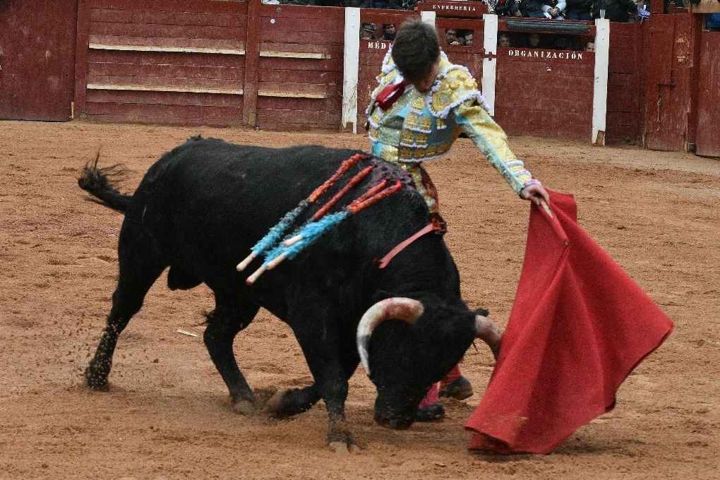 La novillada con picadores del Carnaval del Toro, en imágenes