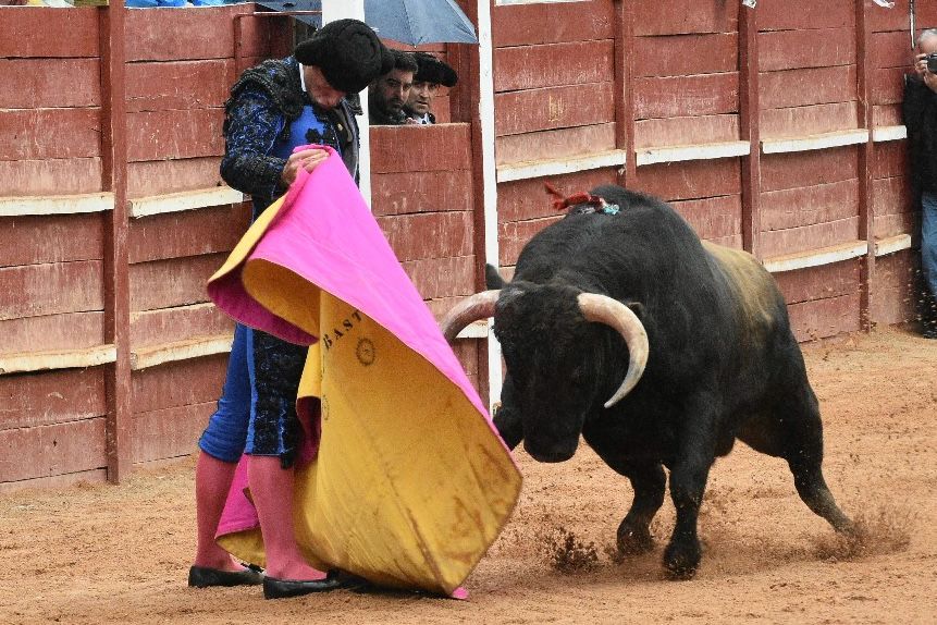 La novillada con picadores del Carnaval del Toro, en imágenes