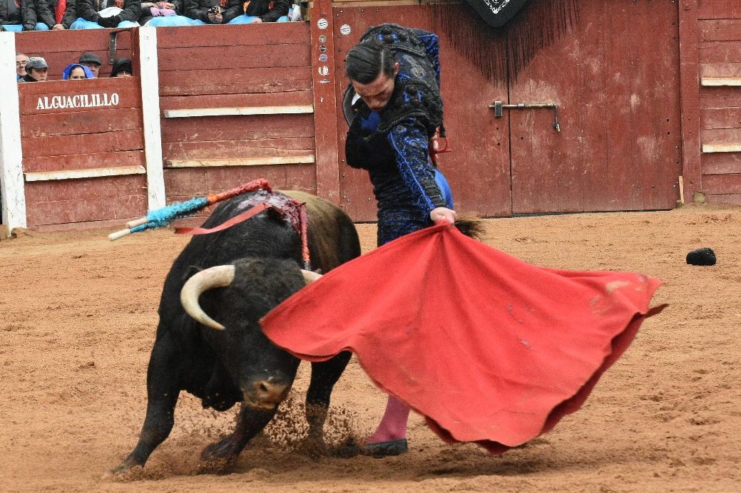 La novillada con picadores del Carnaval del Toro, en imágenes