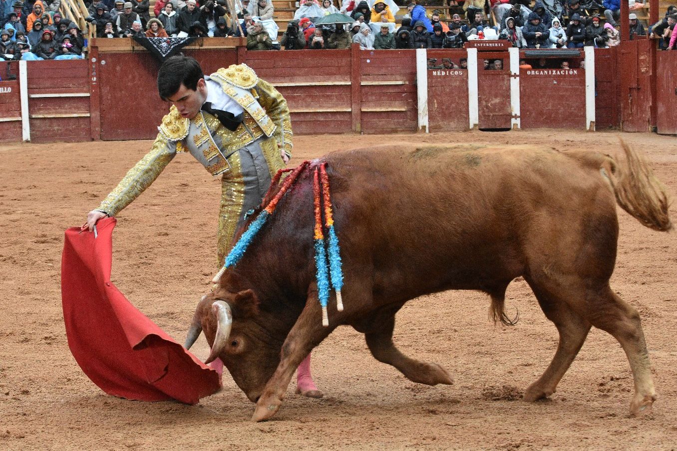 La novillada con picadores del Carnaval del Toro, en imágenes