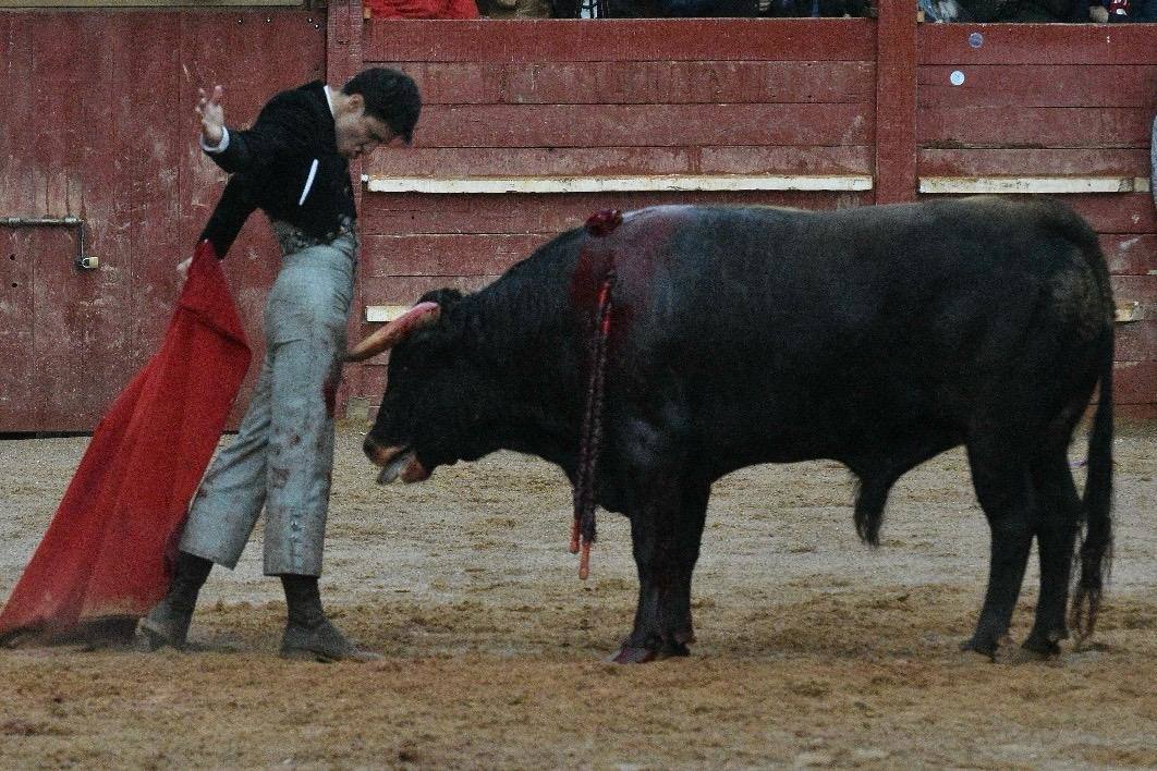 El último festival taurino del Carnaval del toro, en imágenes