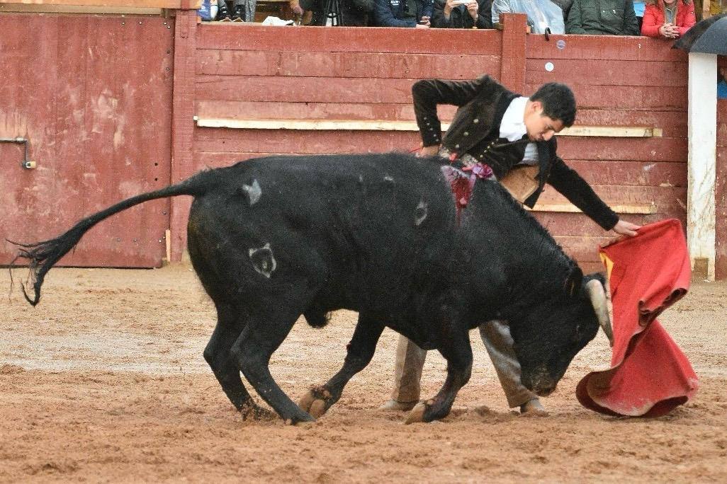 El último festival taurino del Carnaval del toro, en imágenes