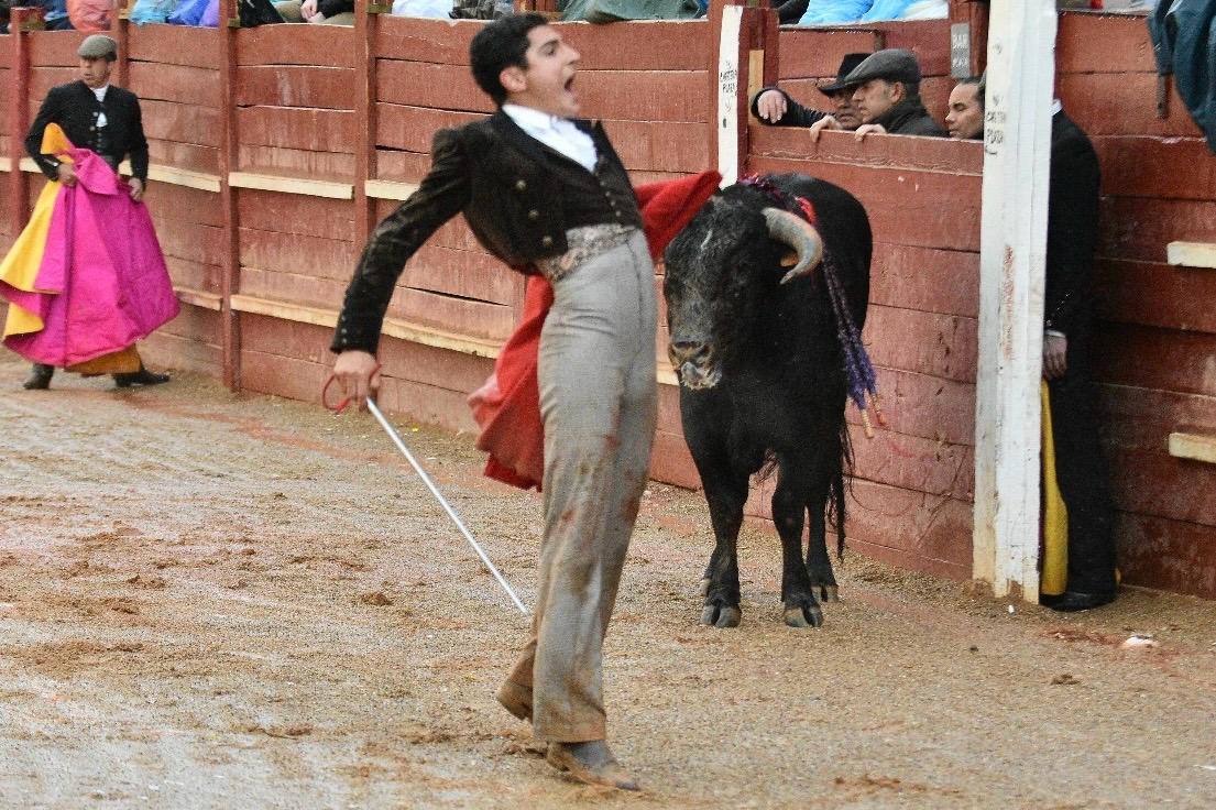 El último festival taurino del Carnaval del toro, en imágenes