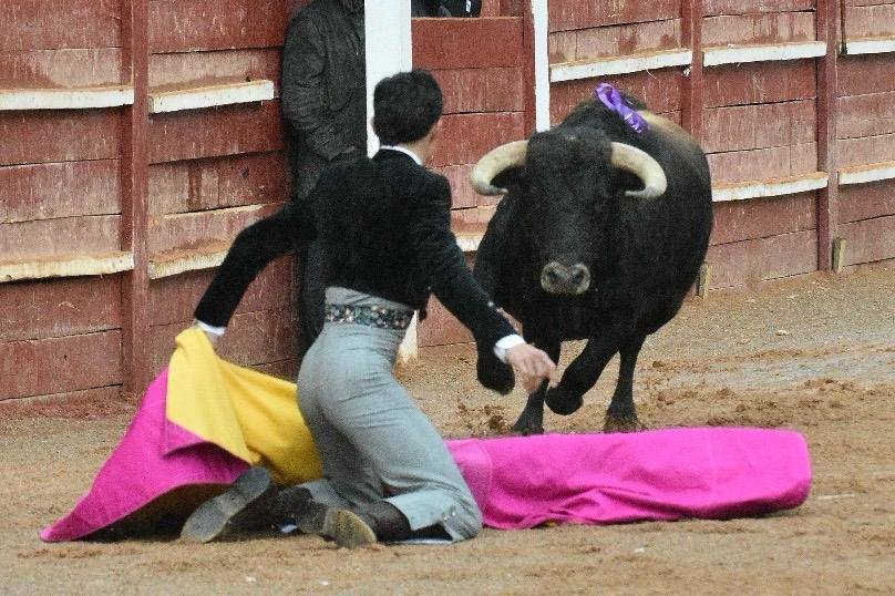 El último festival taurino del Carnaval del toro, en imágenes