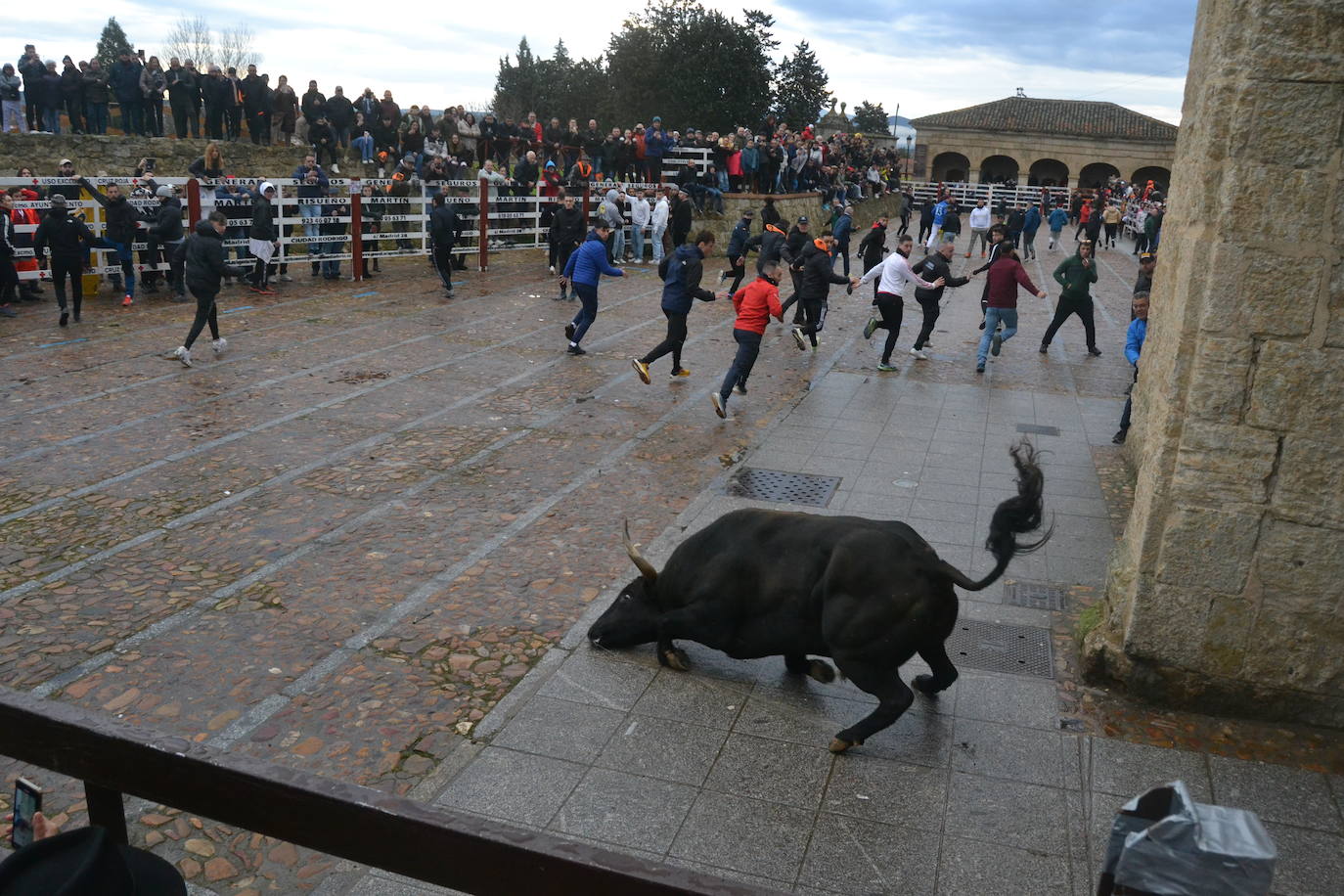 Entretenido Toro del Aguardiente del Carnaval del Toro