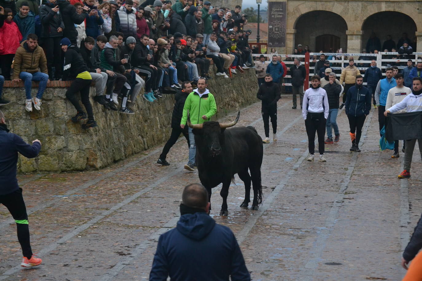 Entretenido Toro del Aguardiente del Carnaval del Toro