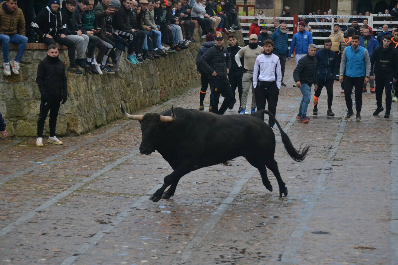 Entretenido Toro del Aguardiente del Carnaval del Toro