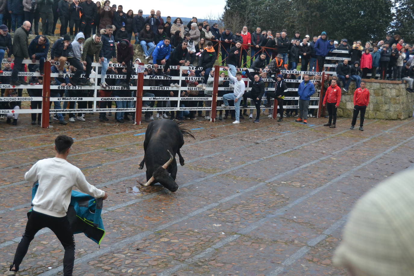 Entretenido Toro del Aguardiente del Carnaval del Toro