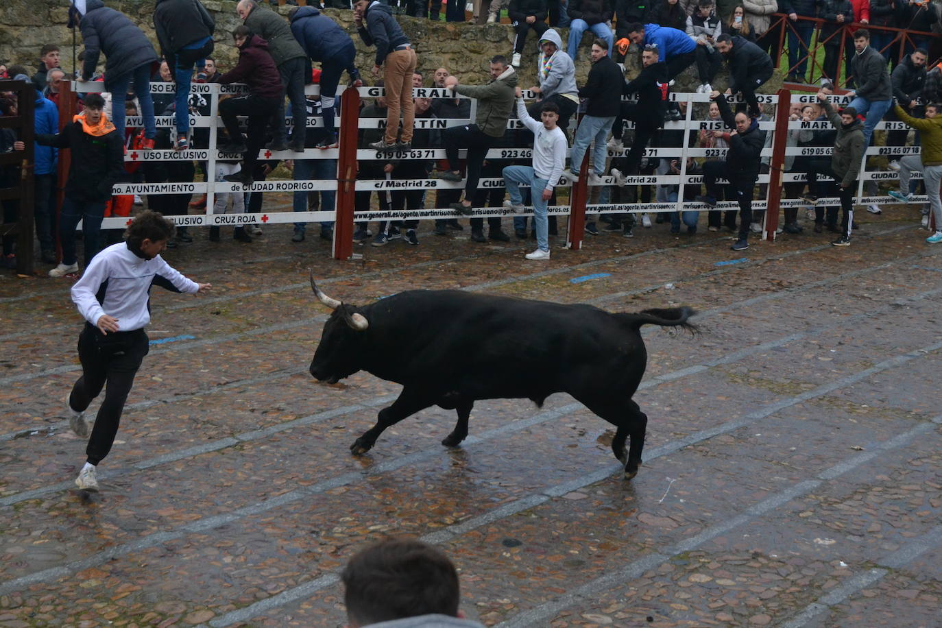 Entretenido Toro del Aguardiente del Carnaval del Toro