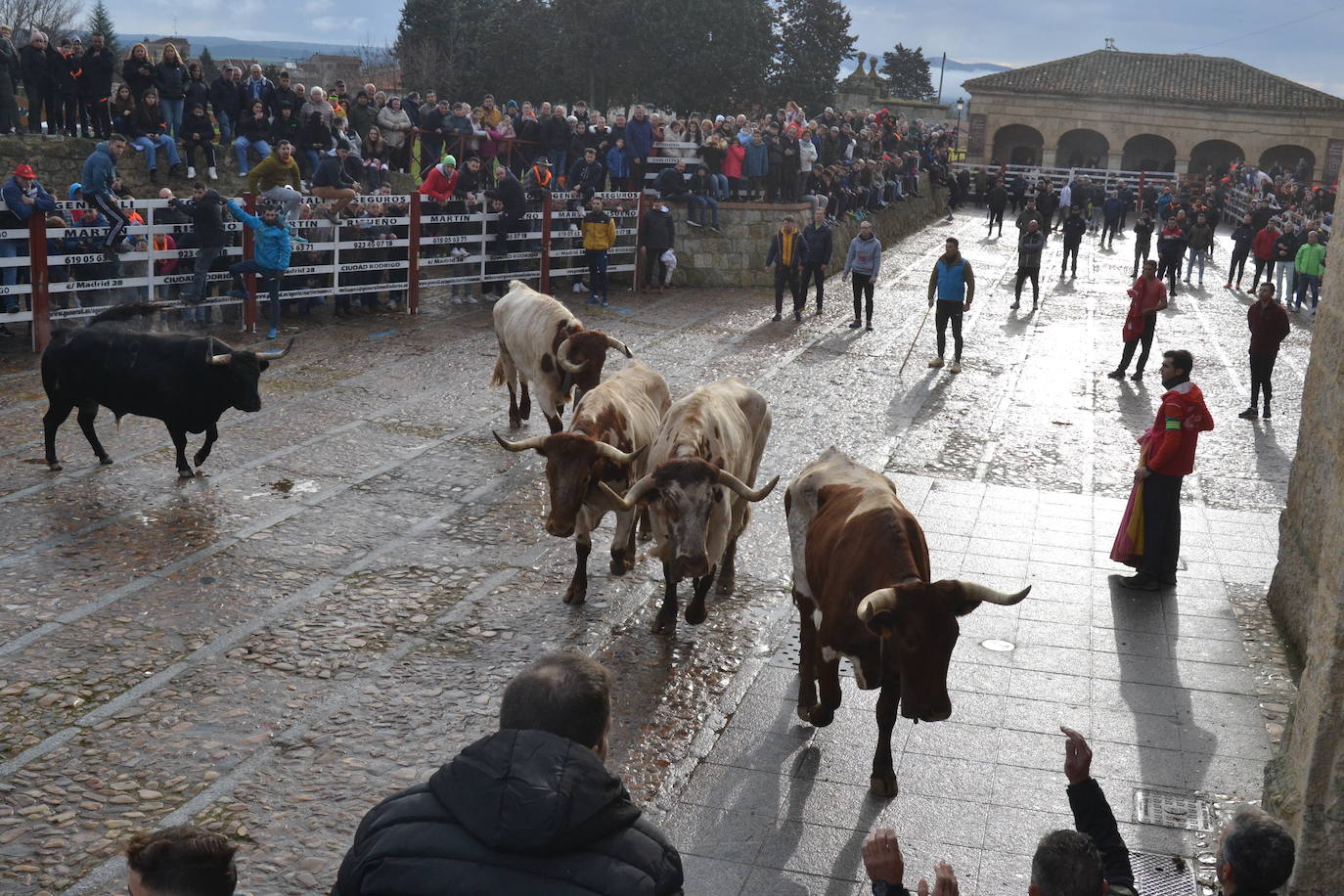 Entretenido Toro del Aguardiente del Carnaval del Toro